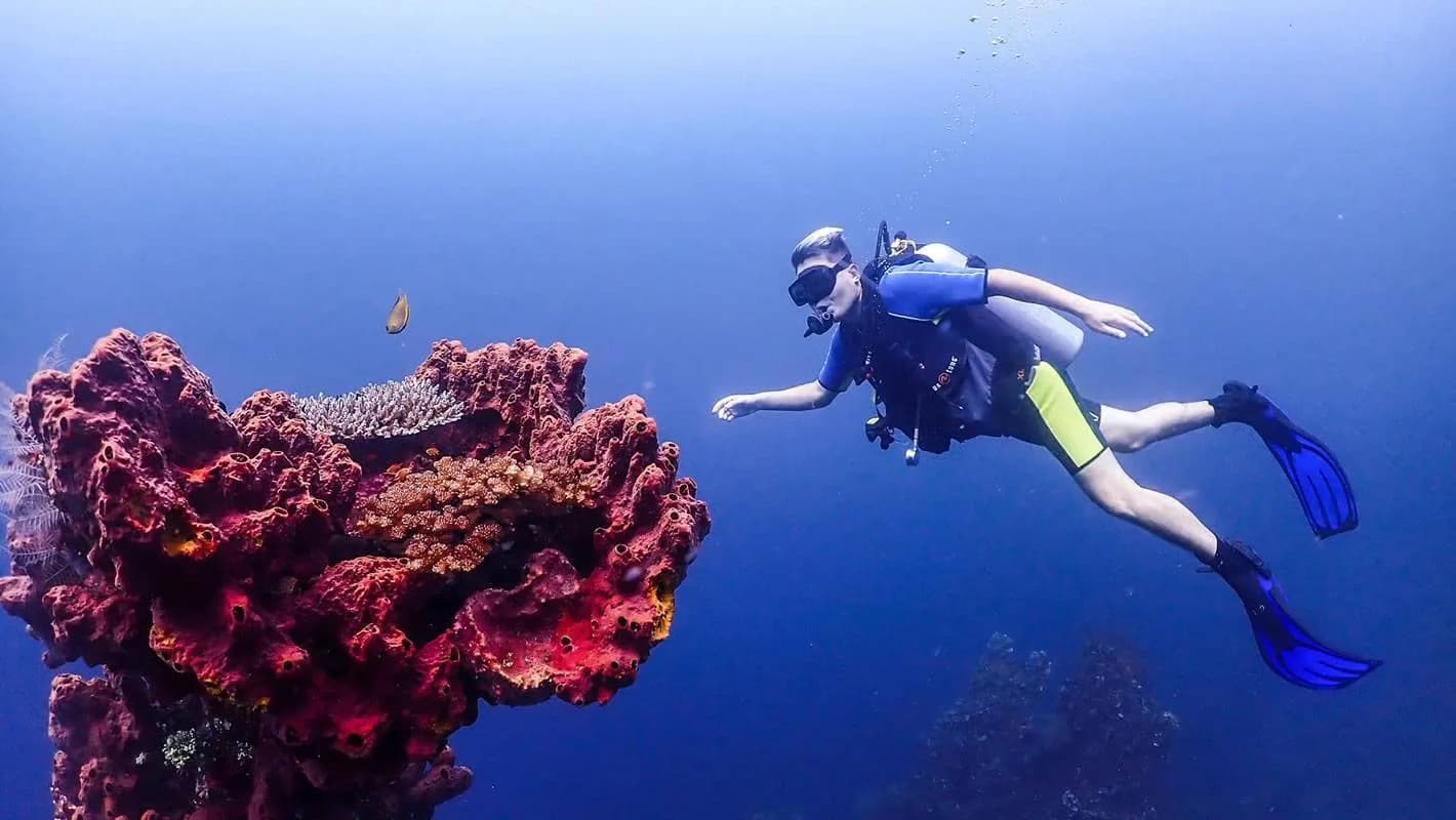 Bali Luxury Divers, BLD