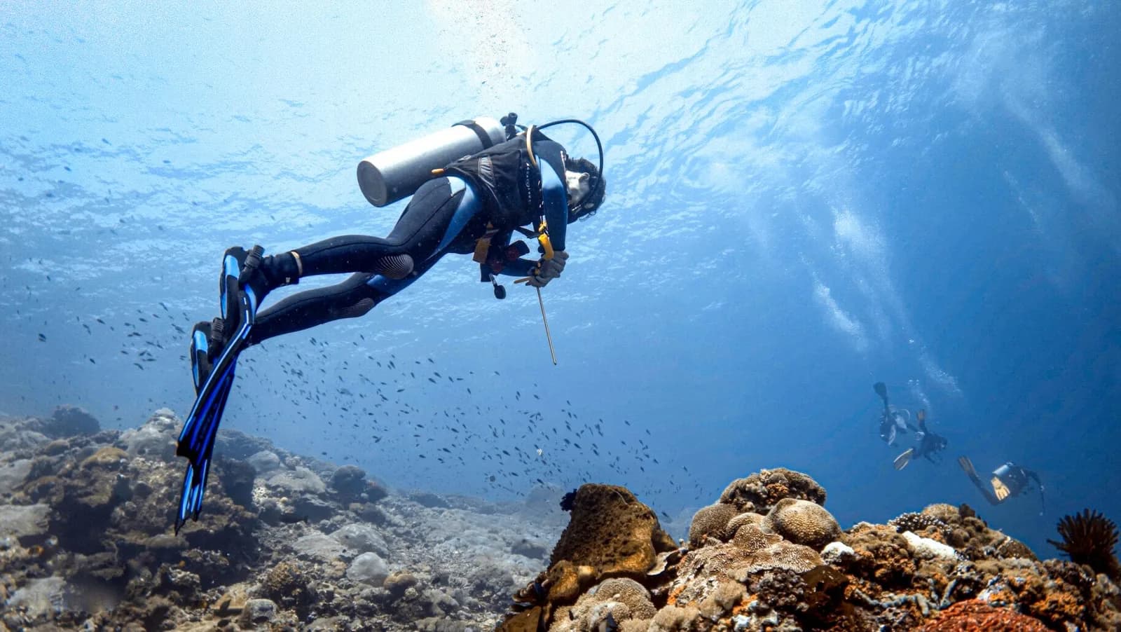 Blow Bubbles Divers, Diving South Gilis