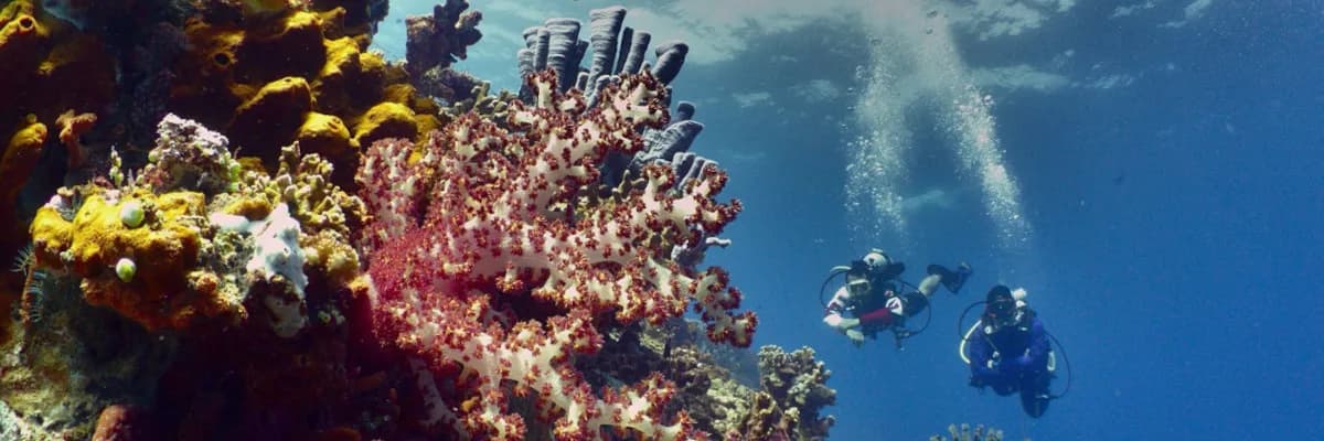Dodoku Dive Center