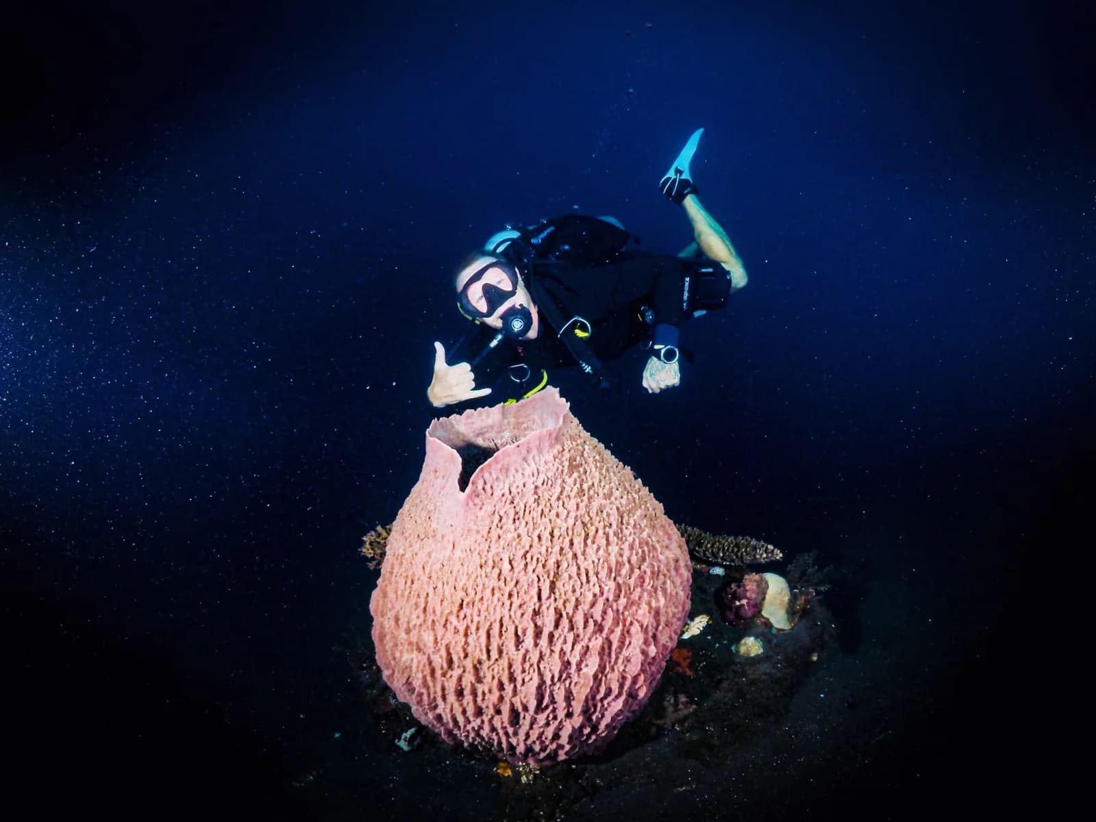 Tiefenrausch Bali Divecenter