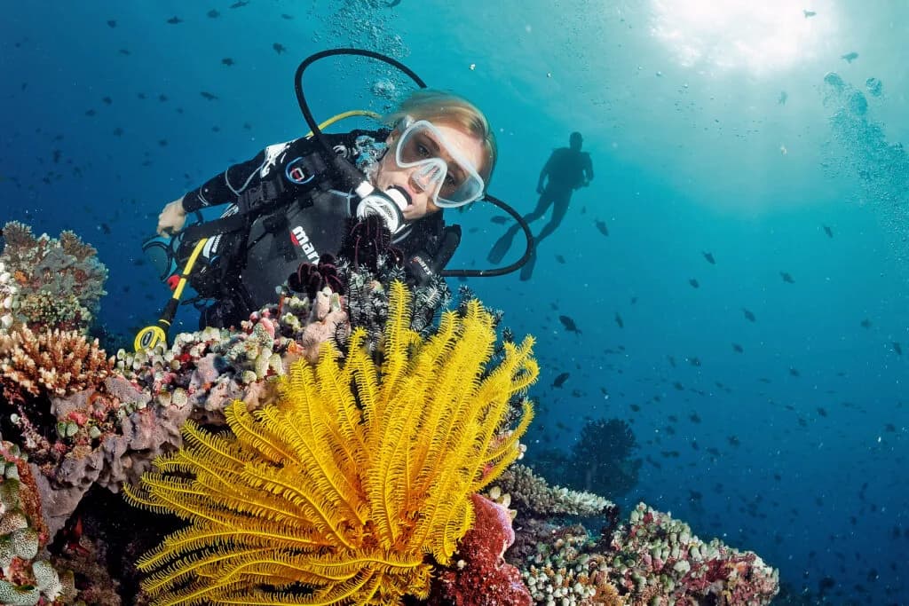 Diving Shop Umiya