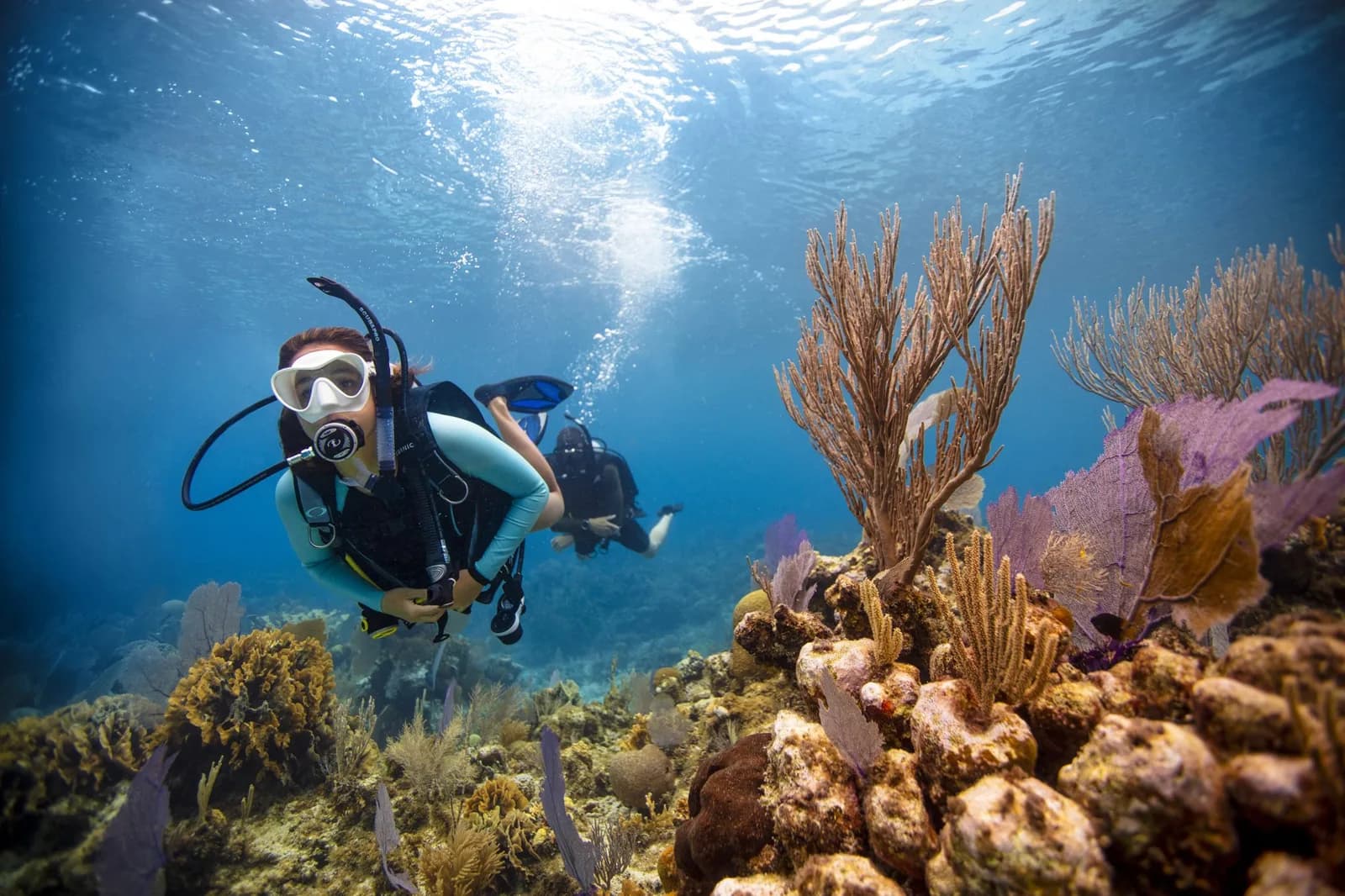 Below The Surface Divers