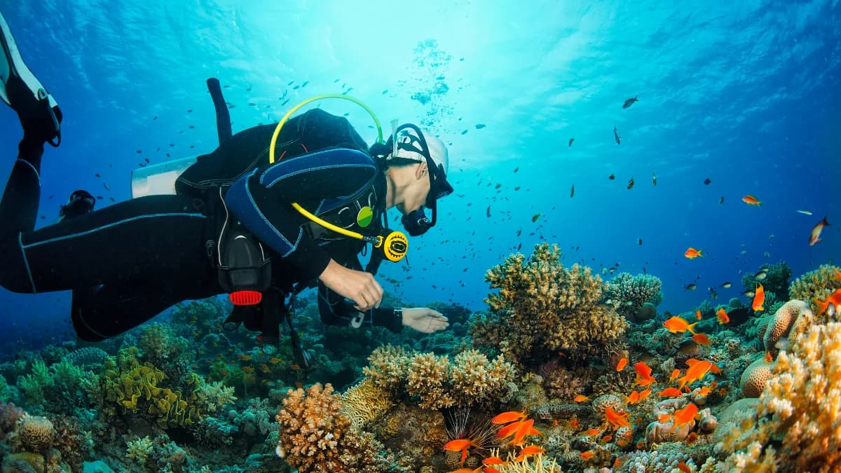 Dive Shop Maldives