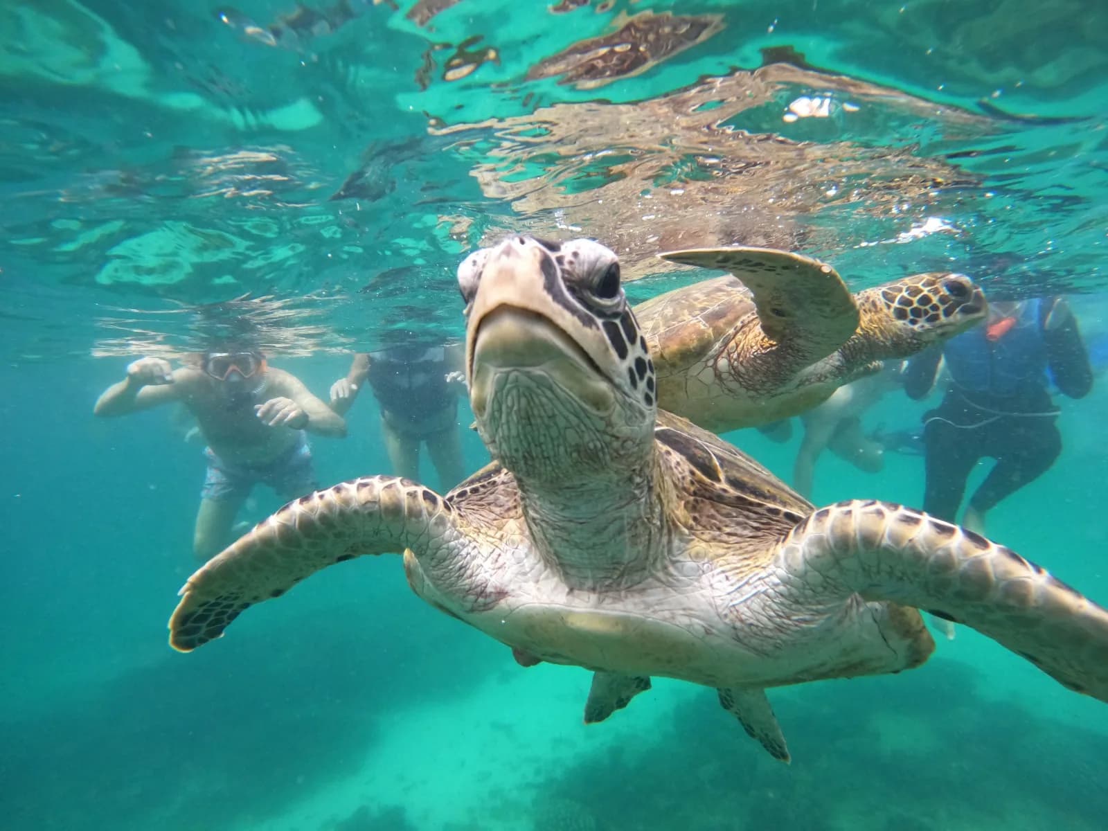 Global Scuba LLC, Global Scuba (Seeb)