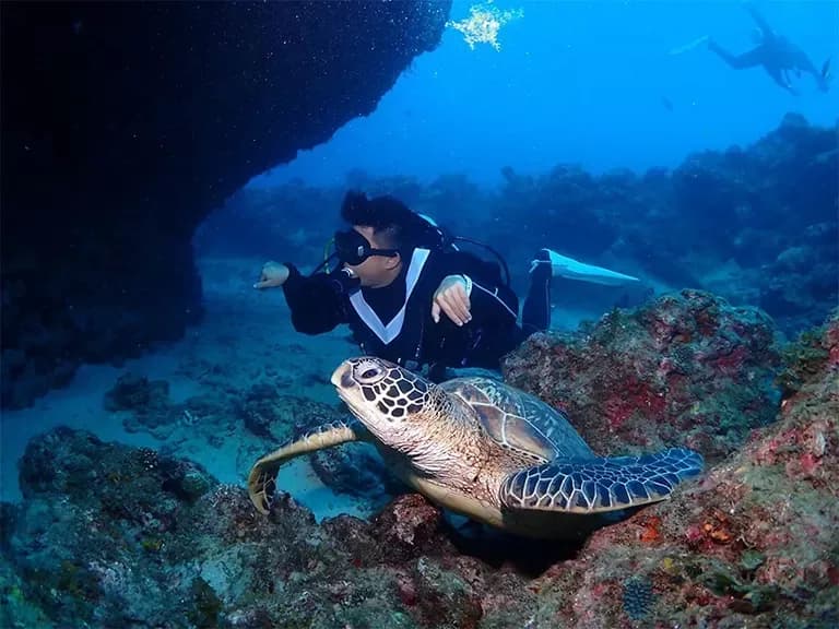 環礁潛水 Atoll Dive Center, Atolldive