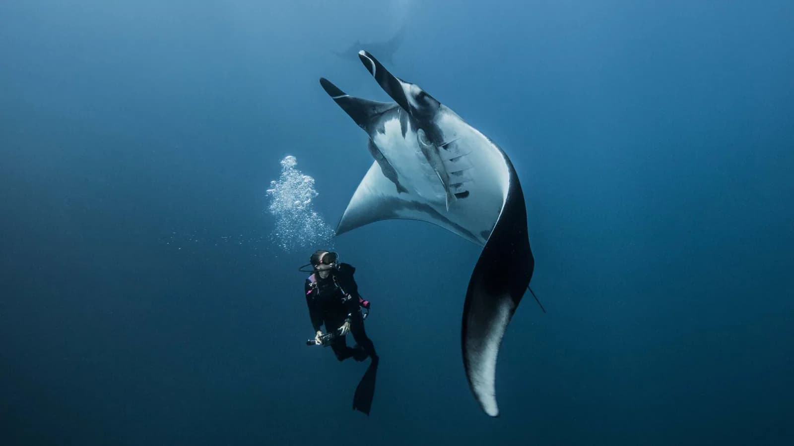 American Divers Phuket