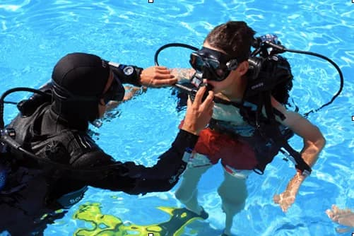 Blue Horizon Diving