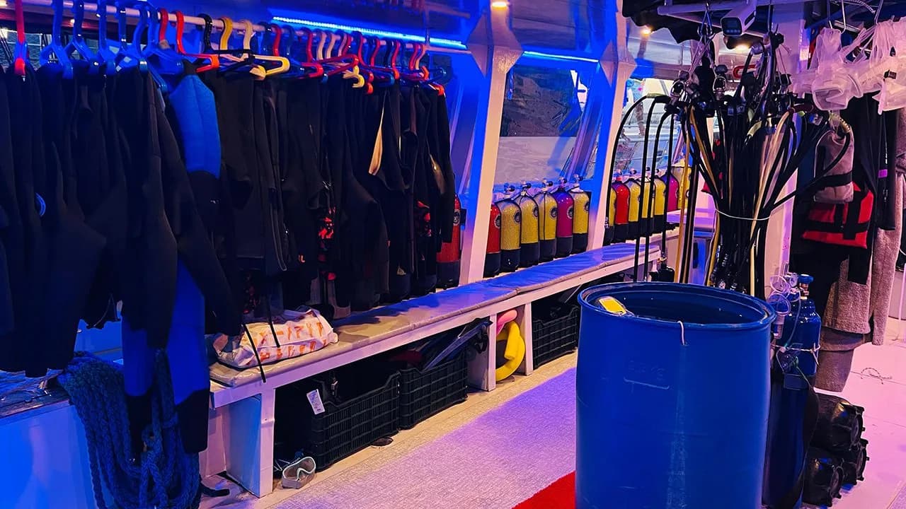 Best Dive Center