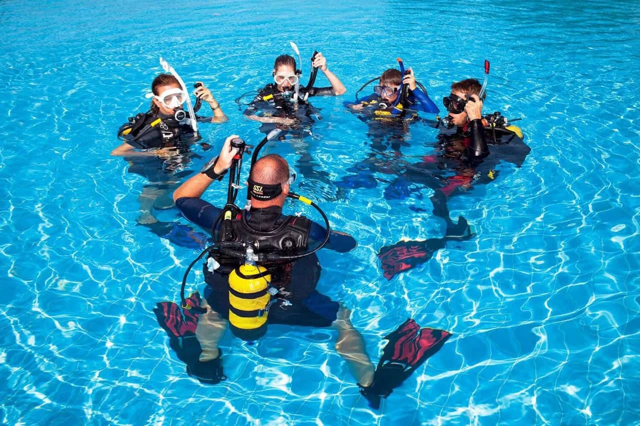 Delight Diving
