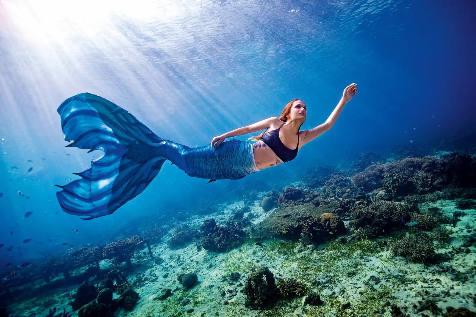 Subaquatic