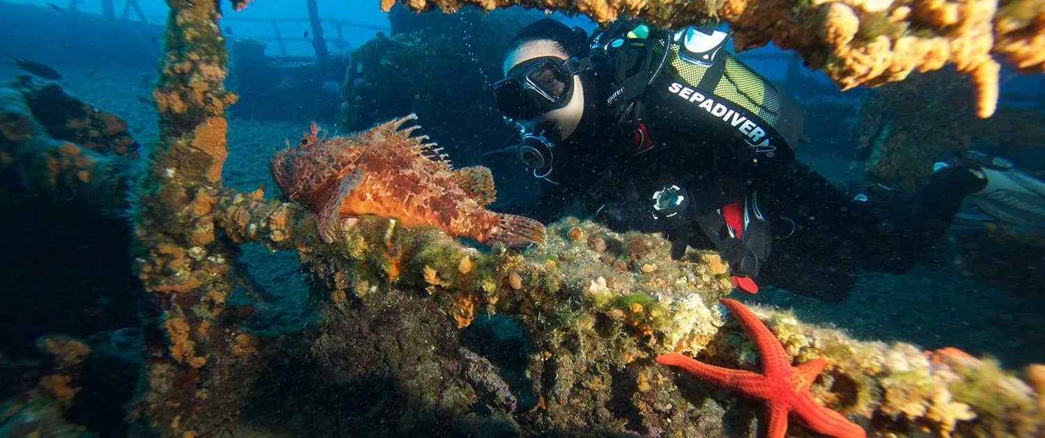 Deep Blue Diving