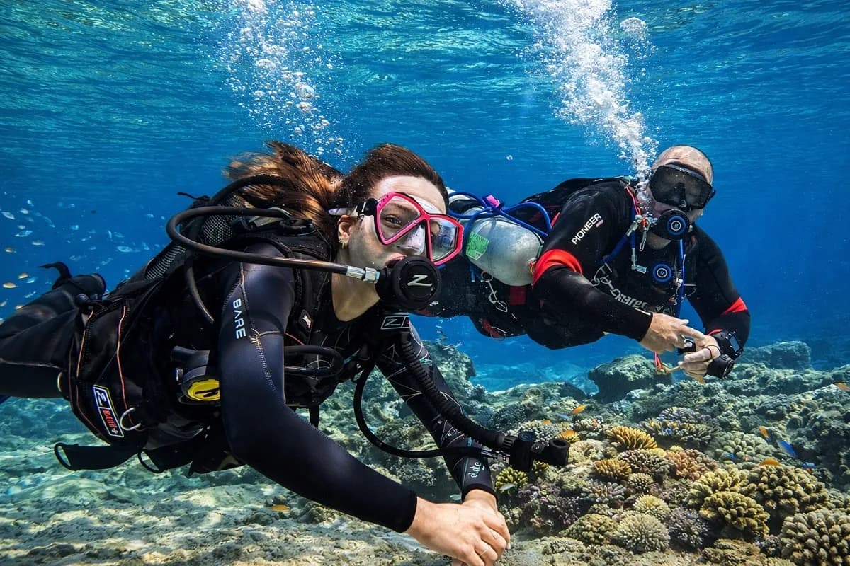 Pink Divers Ltd