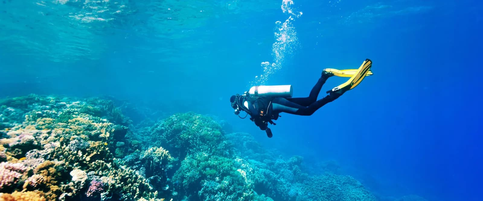ZEN DIVERS LTD