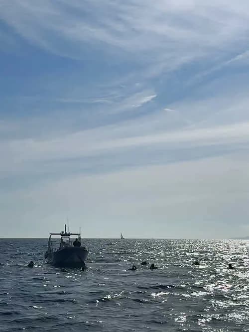 Porquerolles Plongée