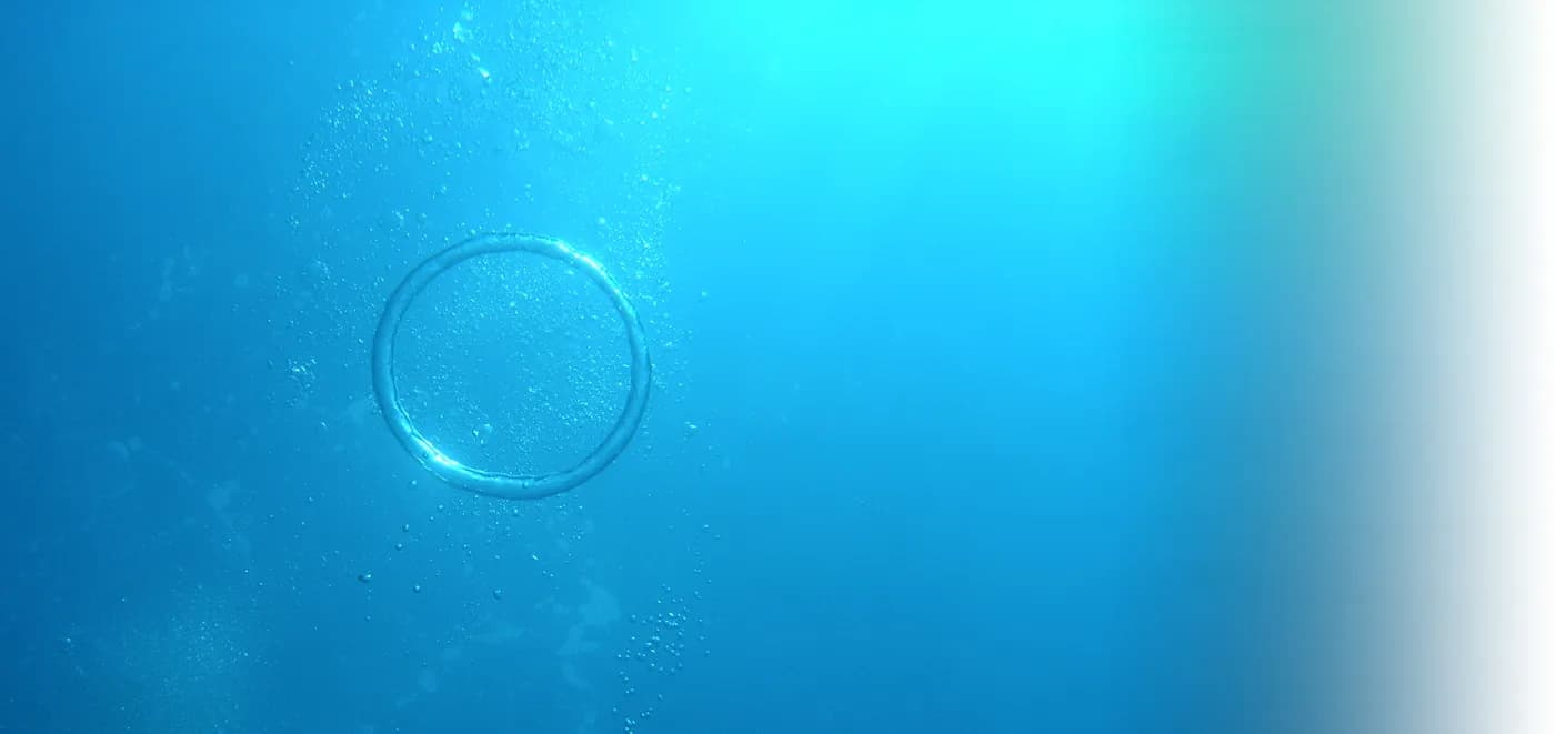 Leucate Plongée