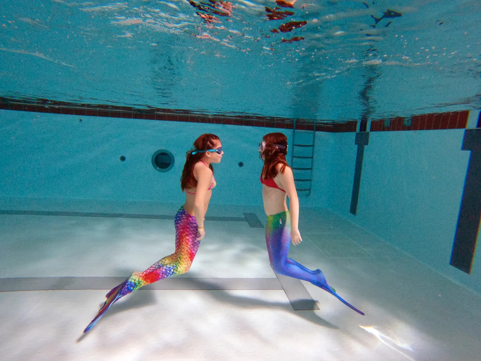 Swim With Me