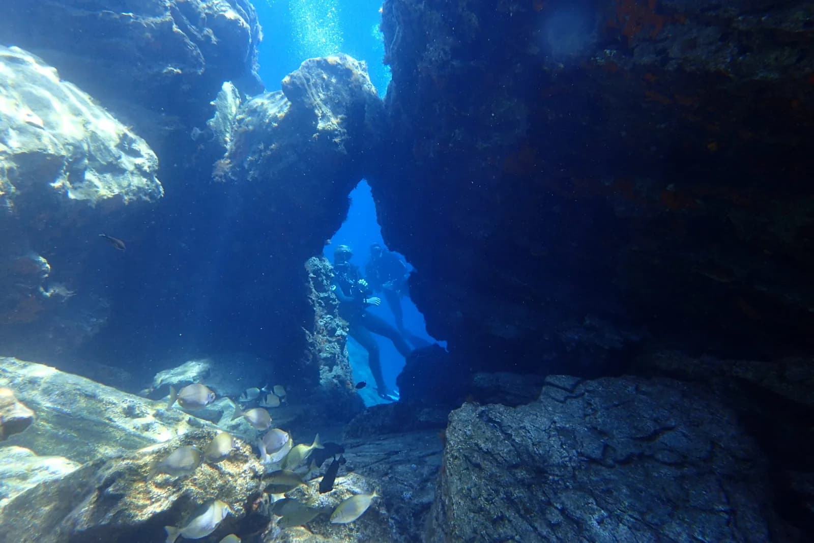 Arian Diving Centre