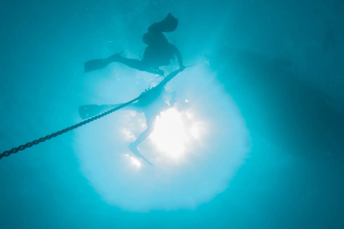 Eco Diving Center