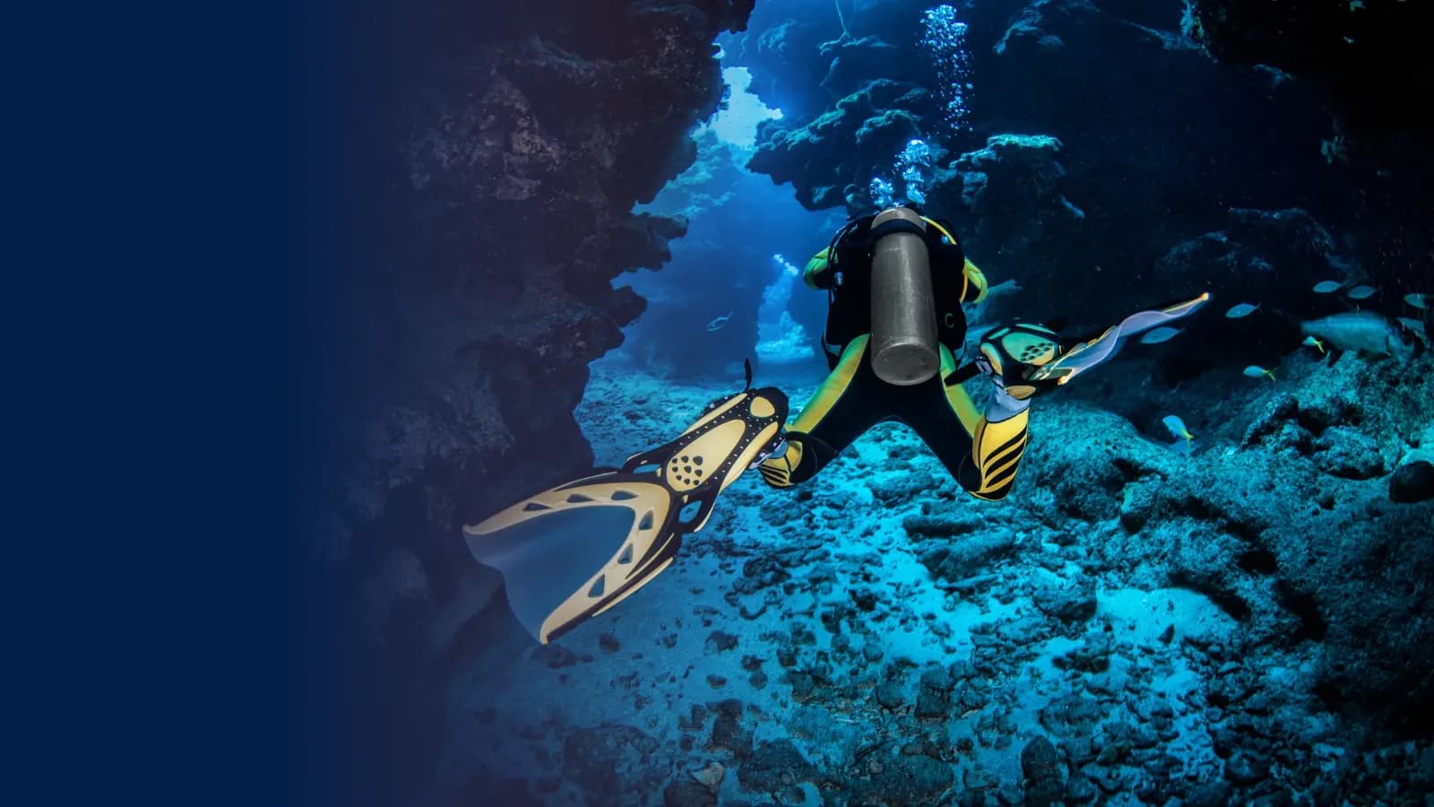 Argentario Divers