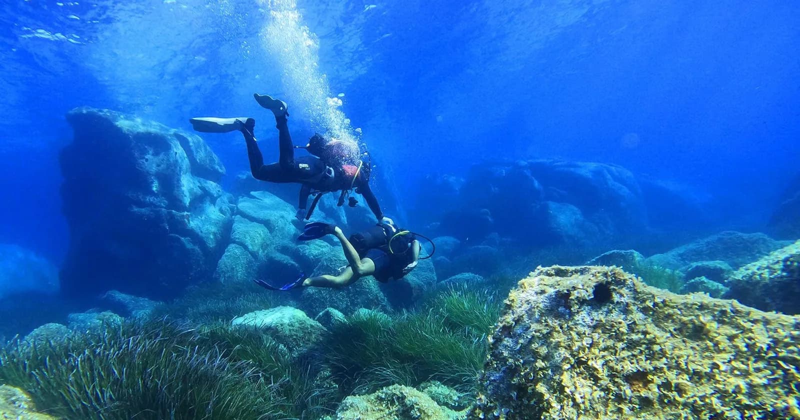 Divers Tribe Srl