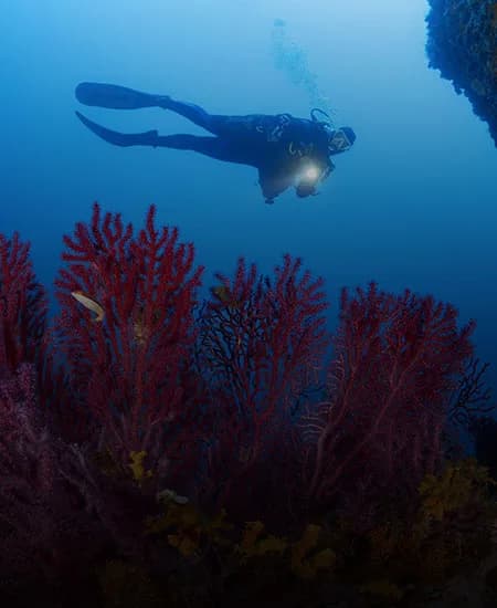 Megale Hellas Diving Center