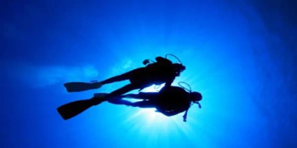 Asd Diving Nervi