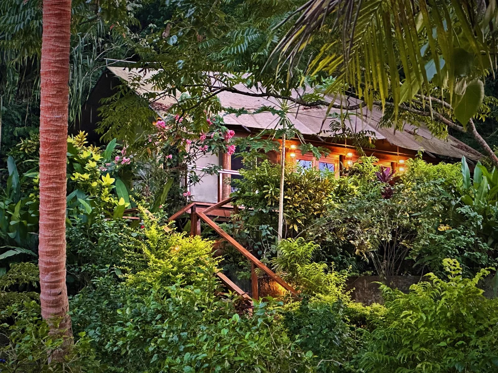 Plongée à Sau Bay Fiji Retreat