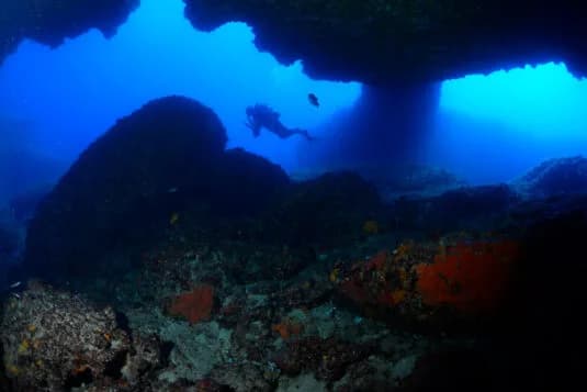 ORTIGIA DIVING