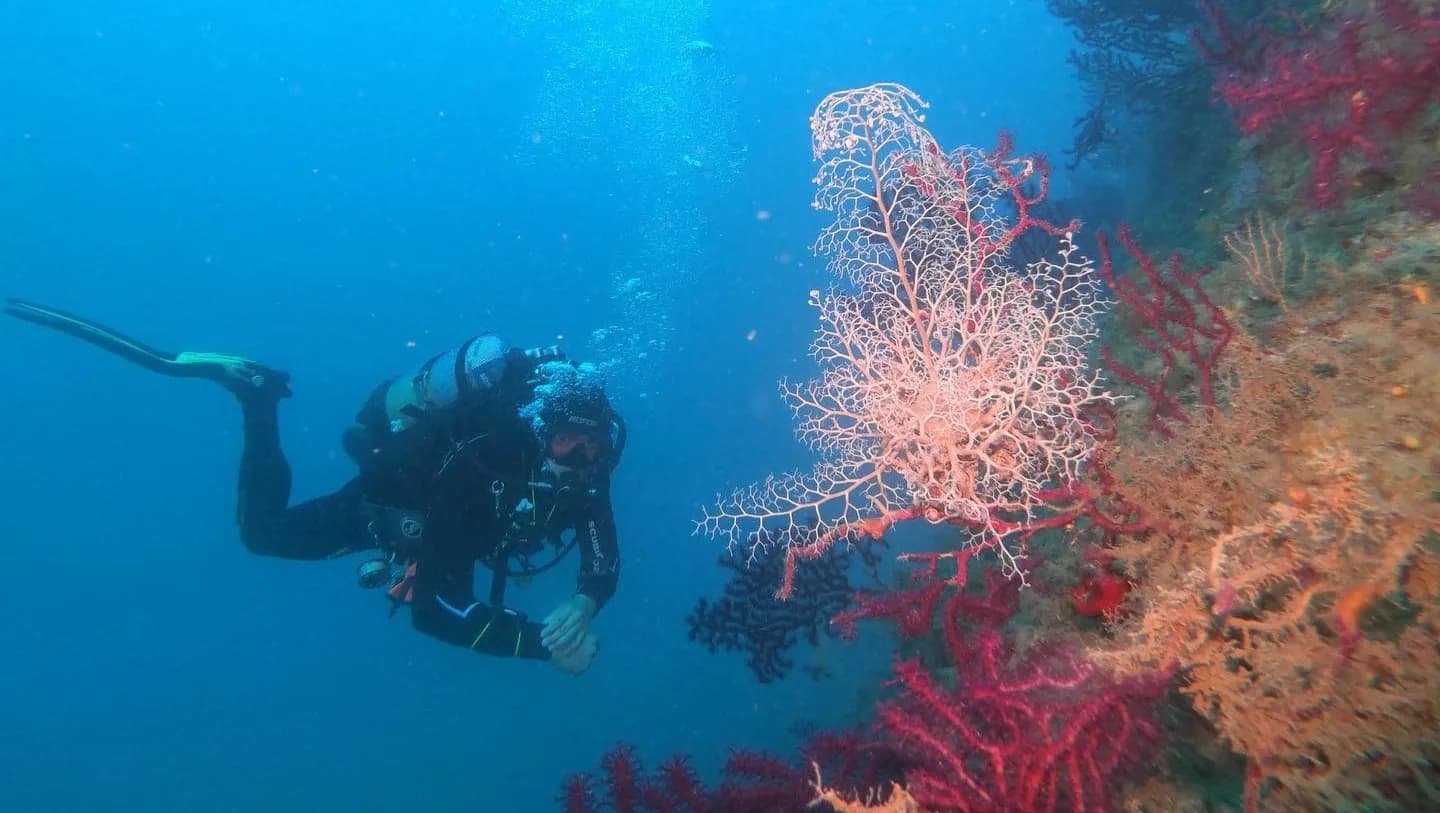 Argentario - Obi Diving