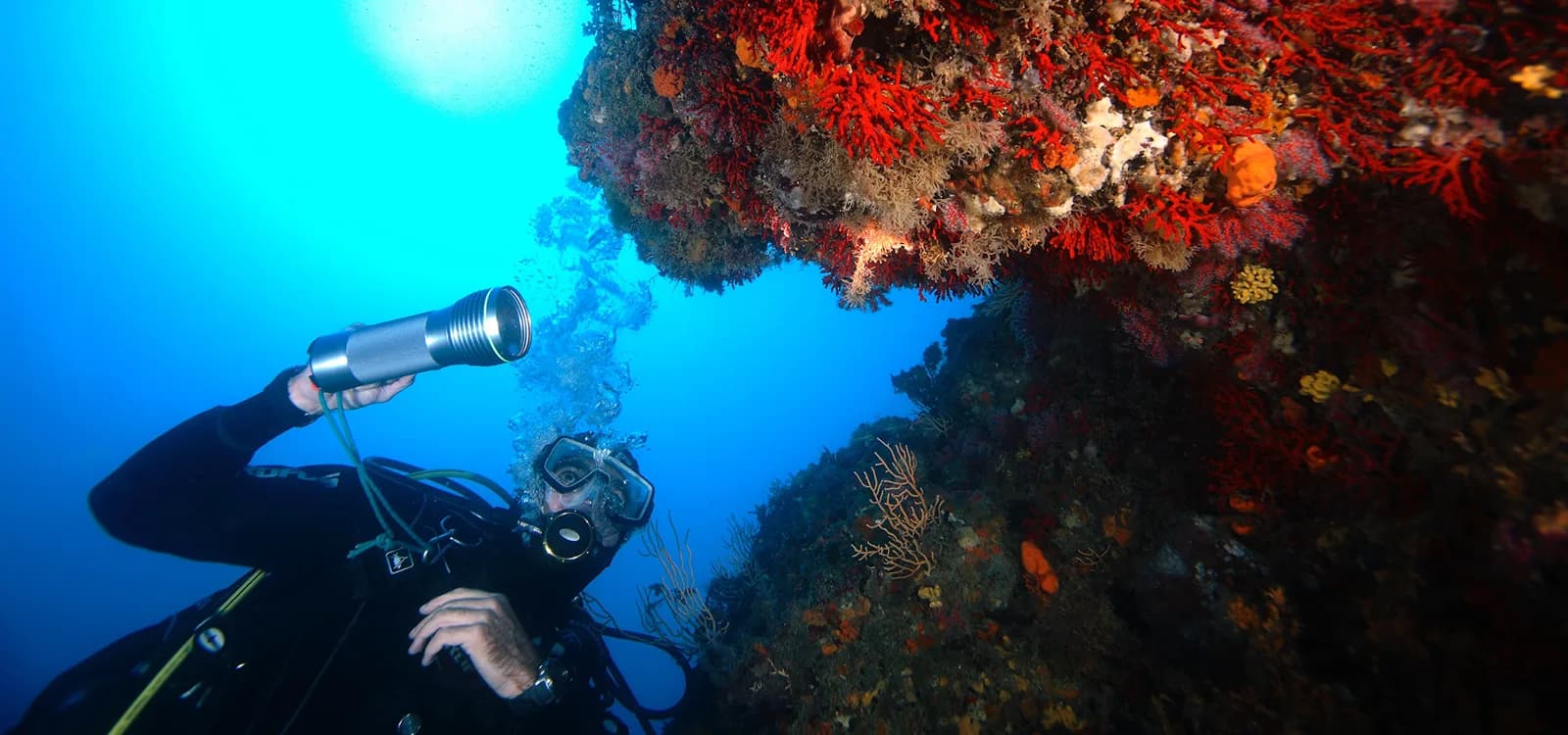 Accademia Blu Diving Center