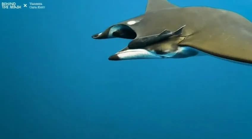 Sea Riders Dive Center