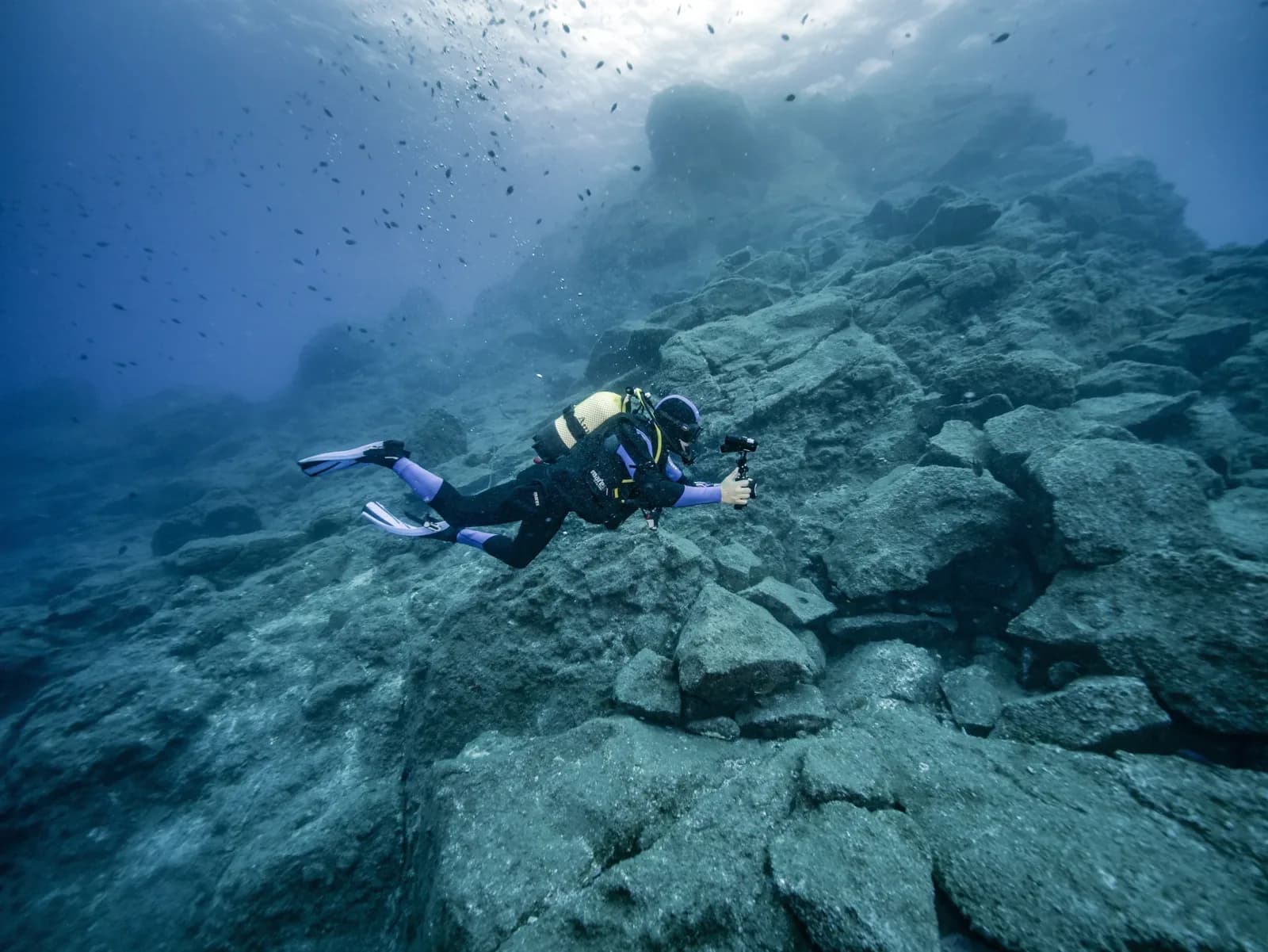 Scorpio Madeira Diving Center