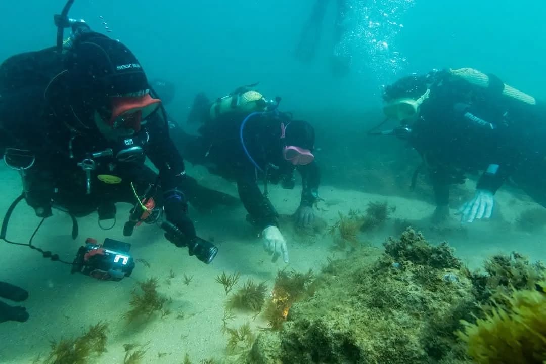 DiveSpot, Algarve-Portugal