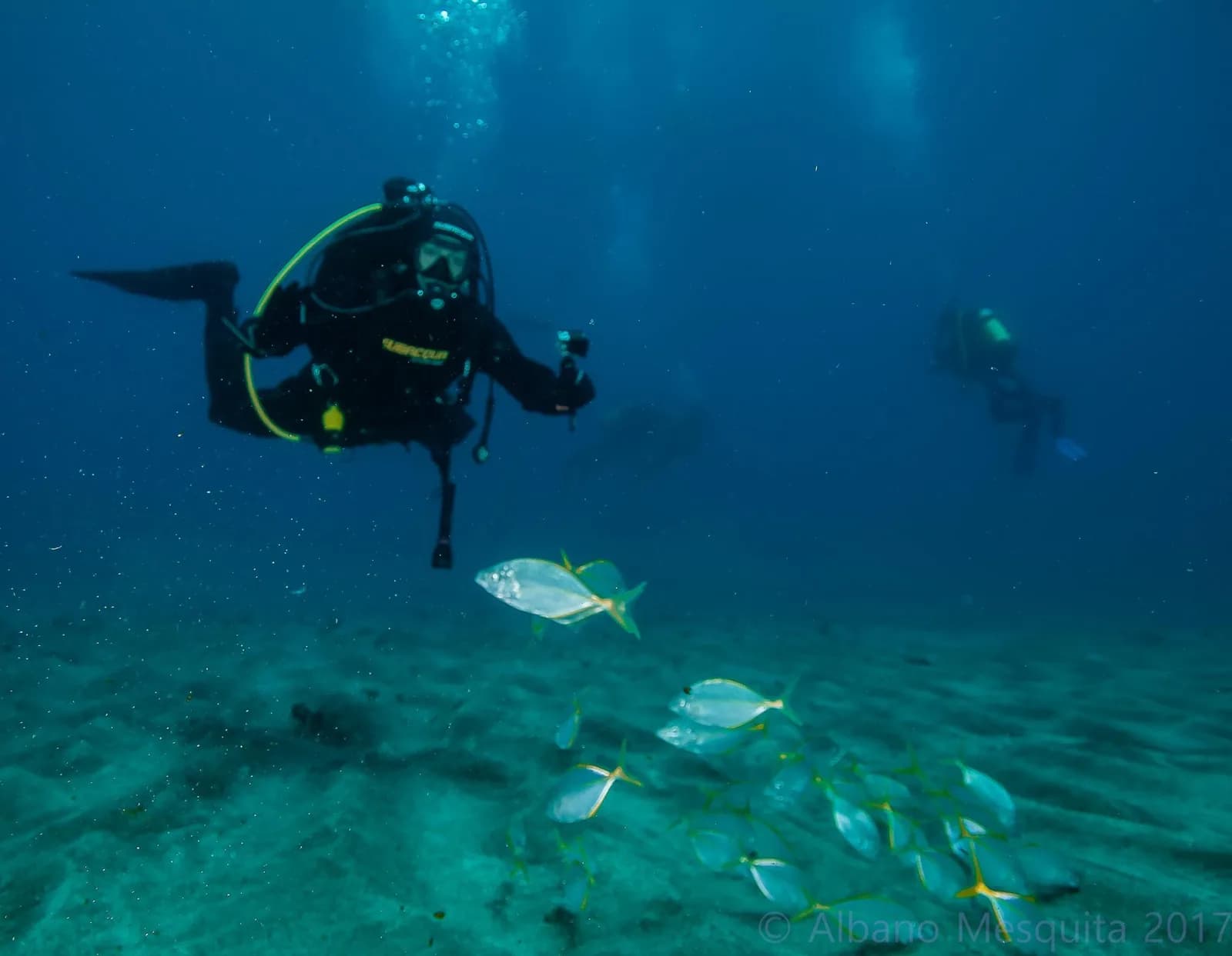 DivingGraciosa