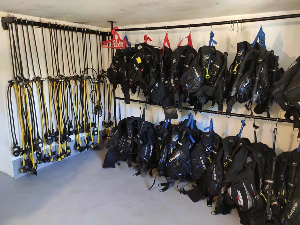 Plàncton Diving