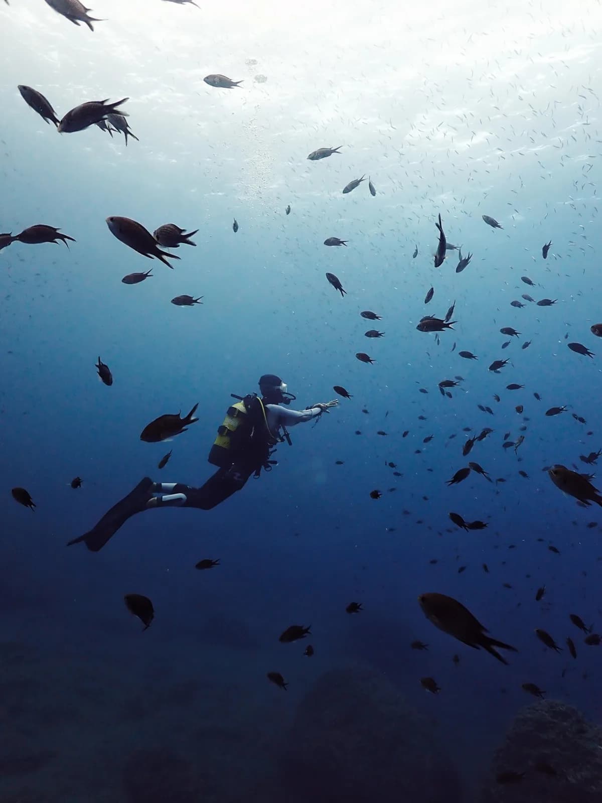 Mar Balear Dive Center