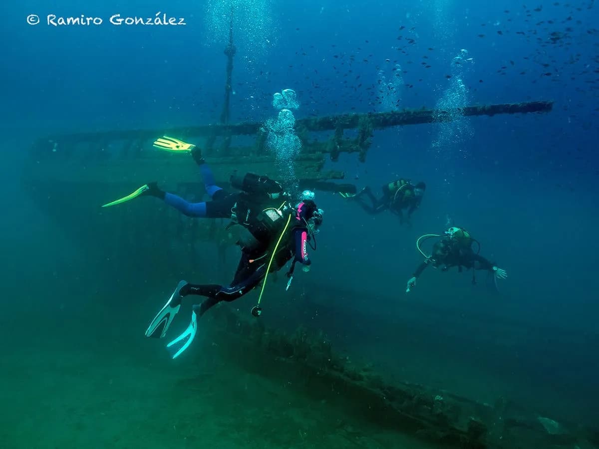 Buceo Estela