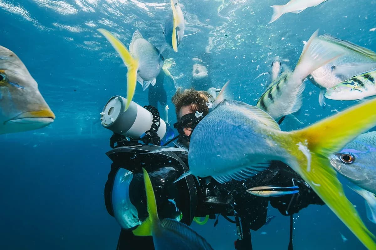Buceo Hispania