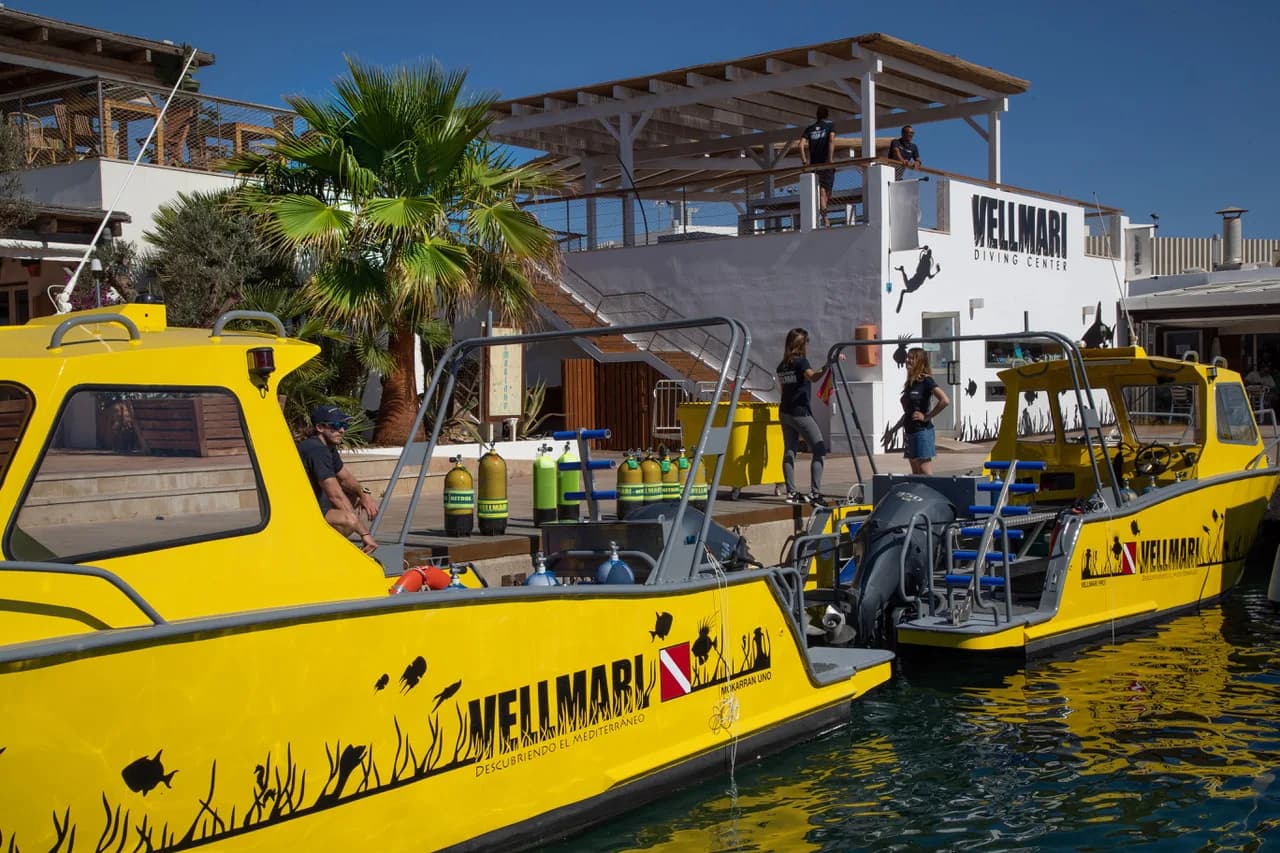 VELLMARI Diving Center, PITIUSUB SL