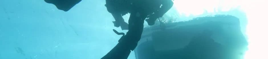 Dossotaigua Dive Center