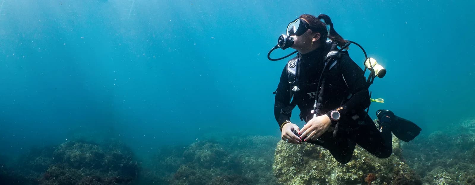 Dive Paradis