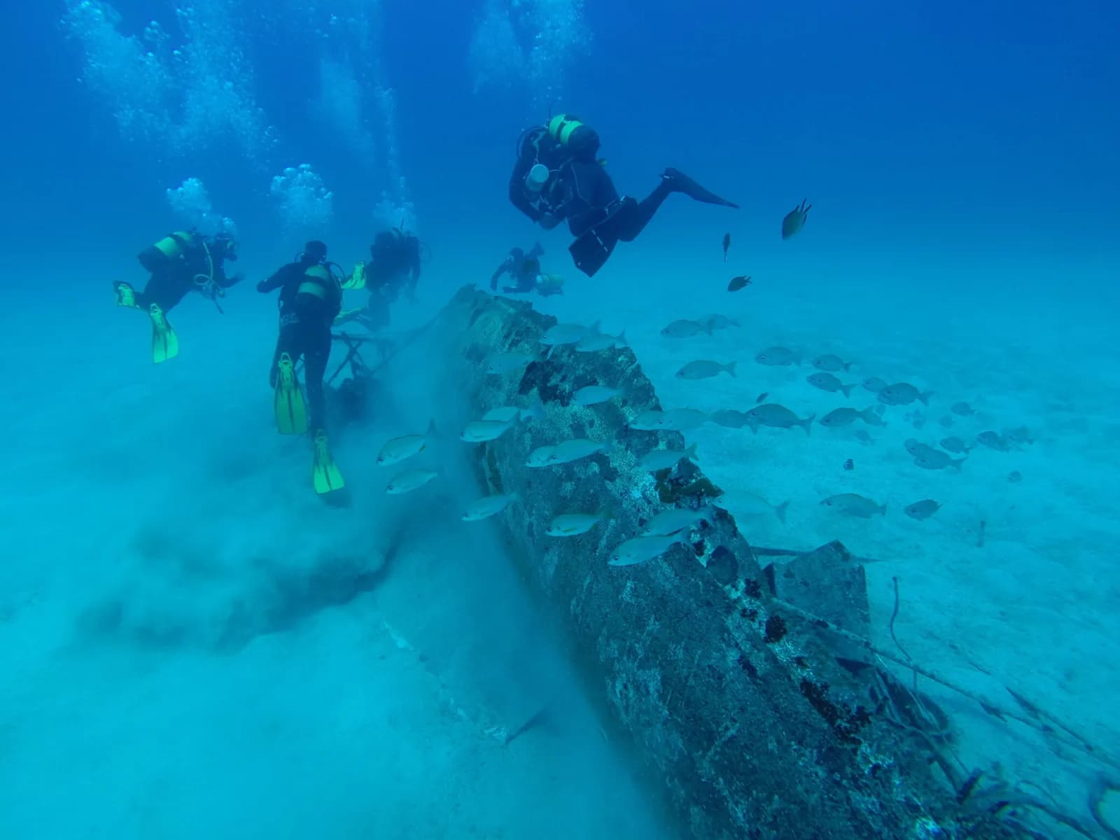 Scuba Sur