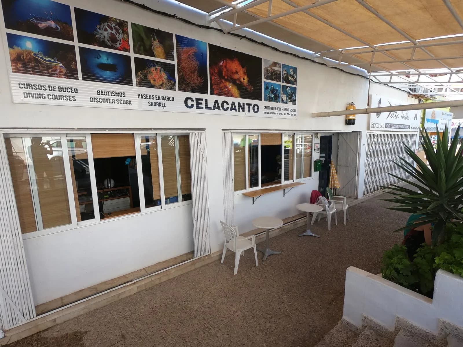 CELACANTO escuela de buceo