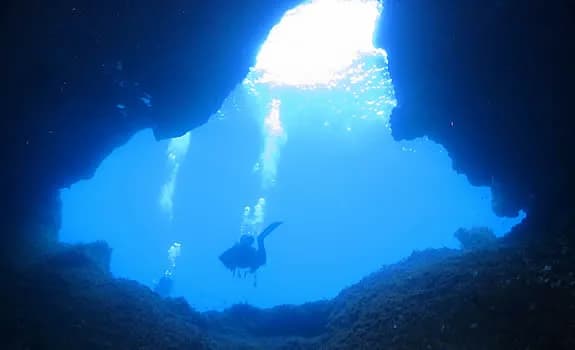 Soller Divers