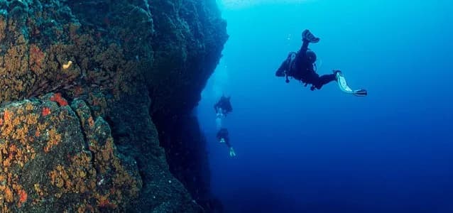 Vanas Dive