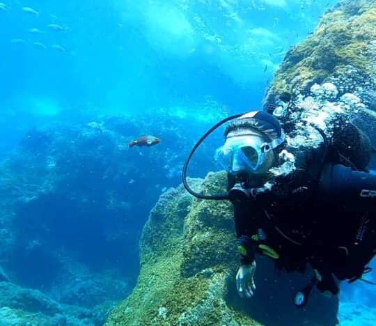 Arrecifal Dive Center