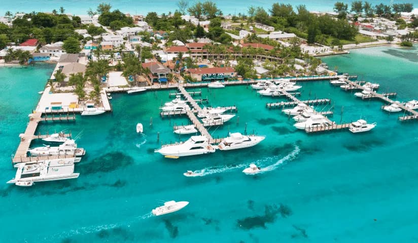 Bimini Big Game Divers