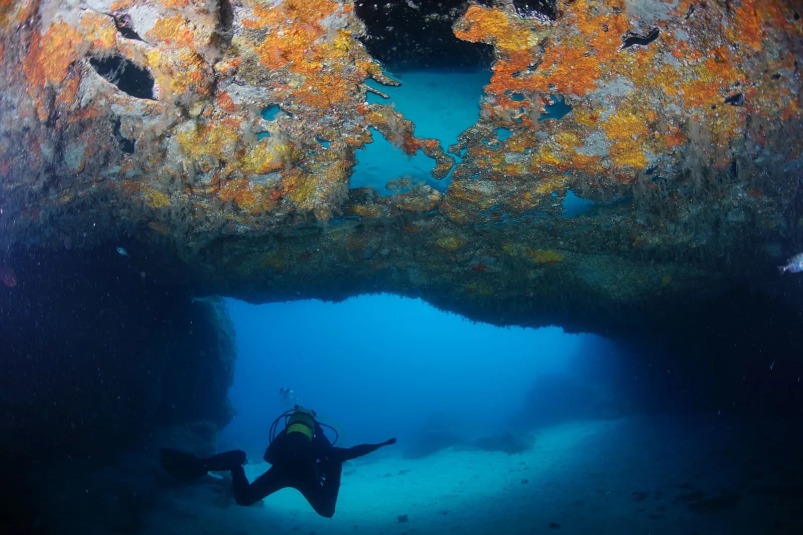 Buceo Sur Gran Canaria