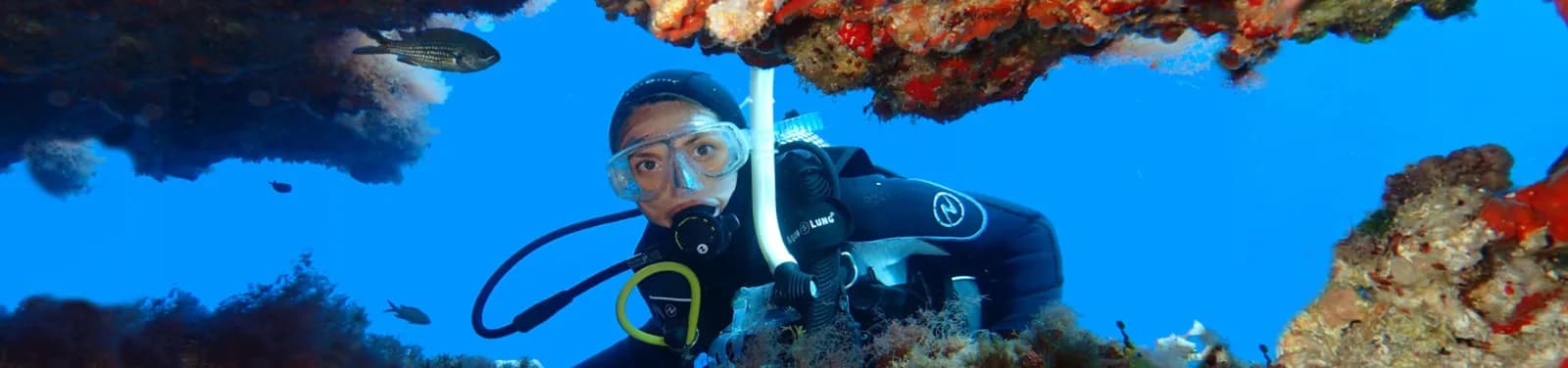 Acqua Life Dive Center S.l.