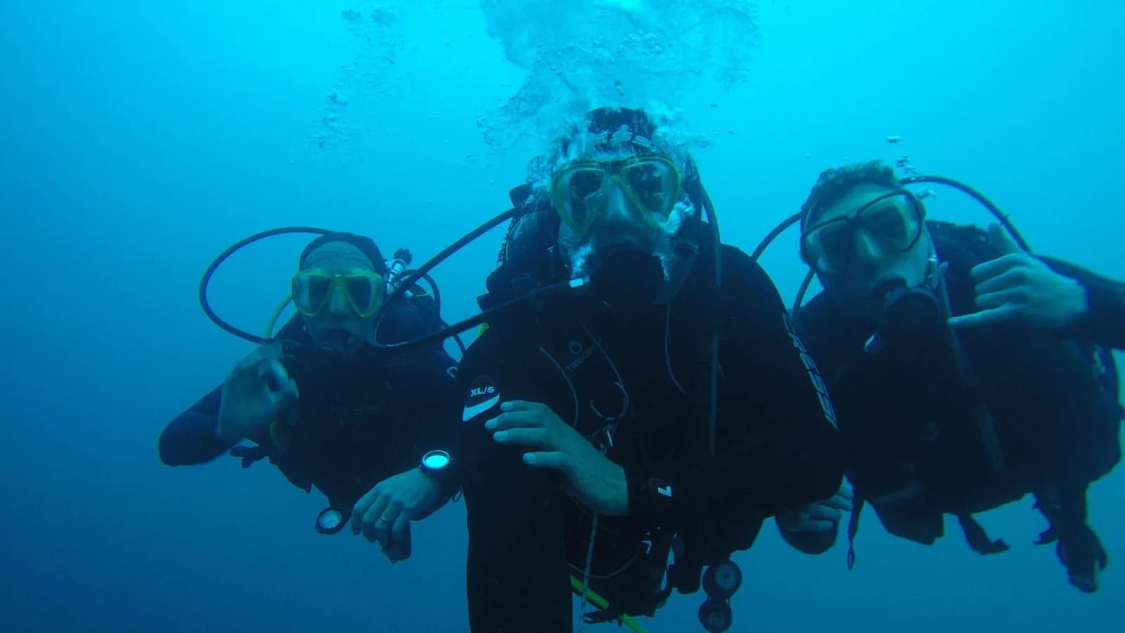 Revolution Dive